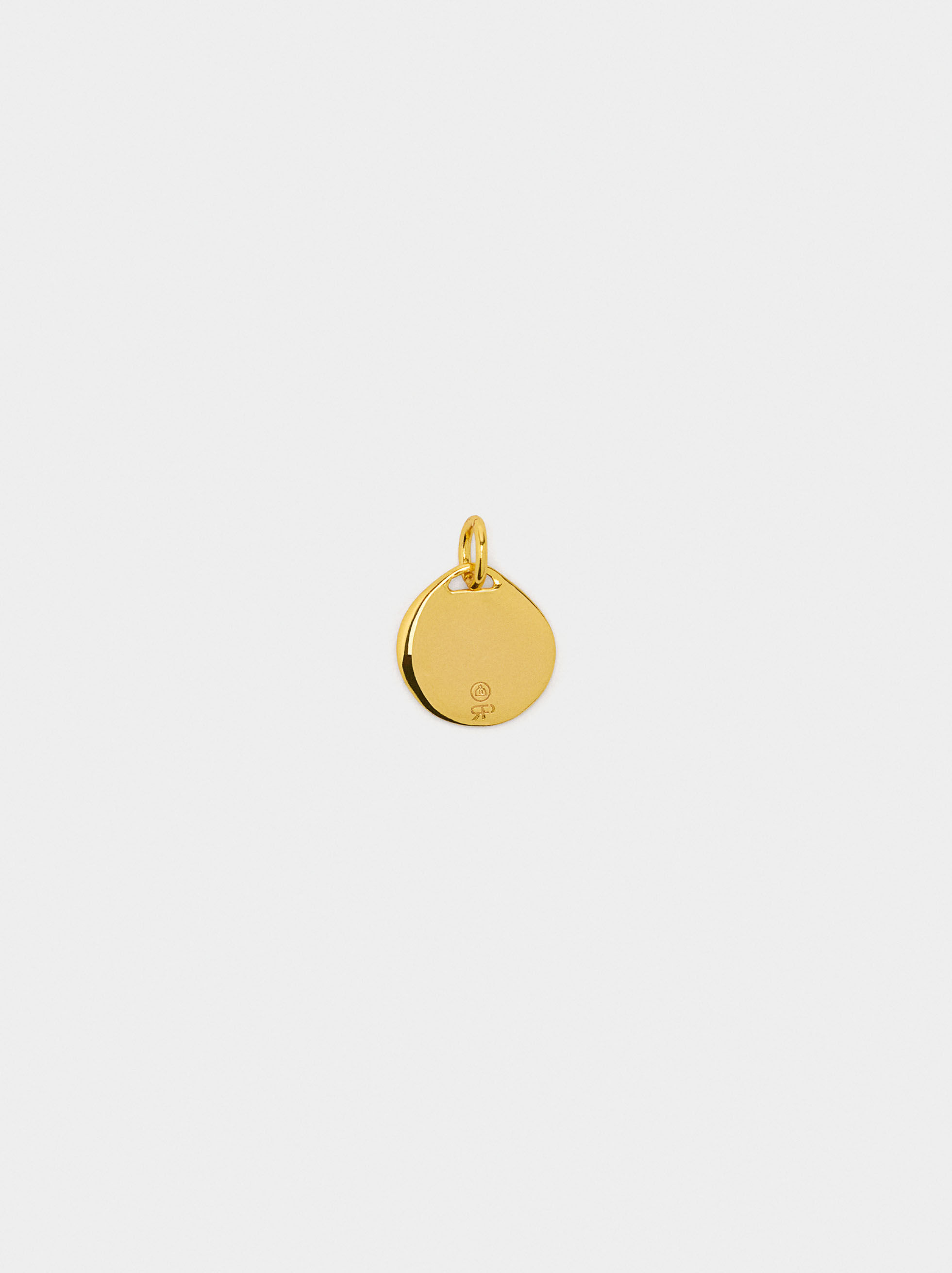 Charme bicolor trevo - plata de ley 925